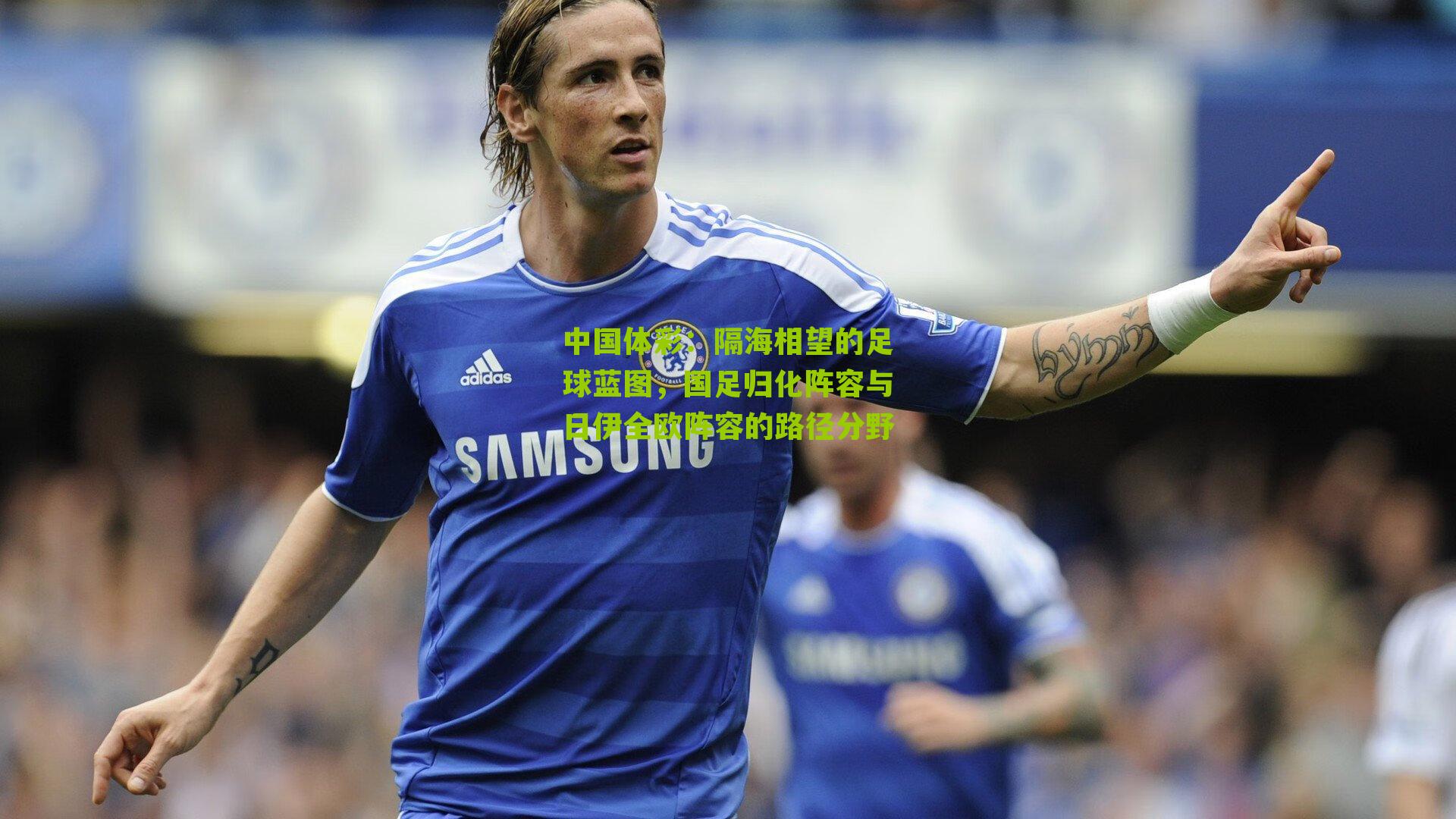 隔海相望的足球蓝图,国足归化阵容与日伊全欧阵容的路径分野