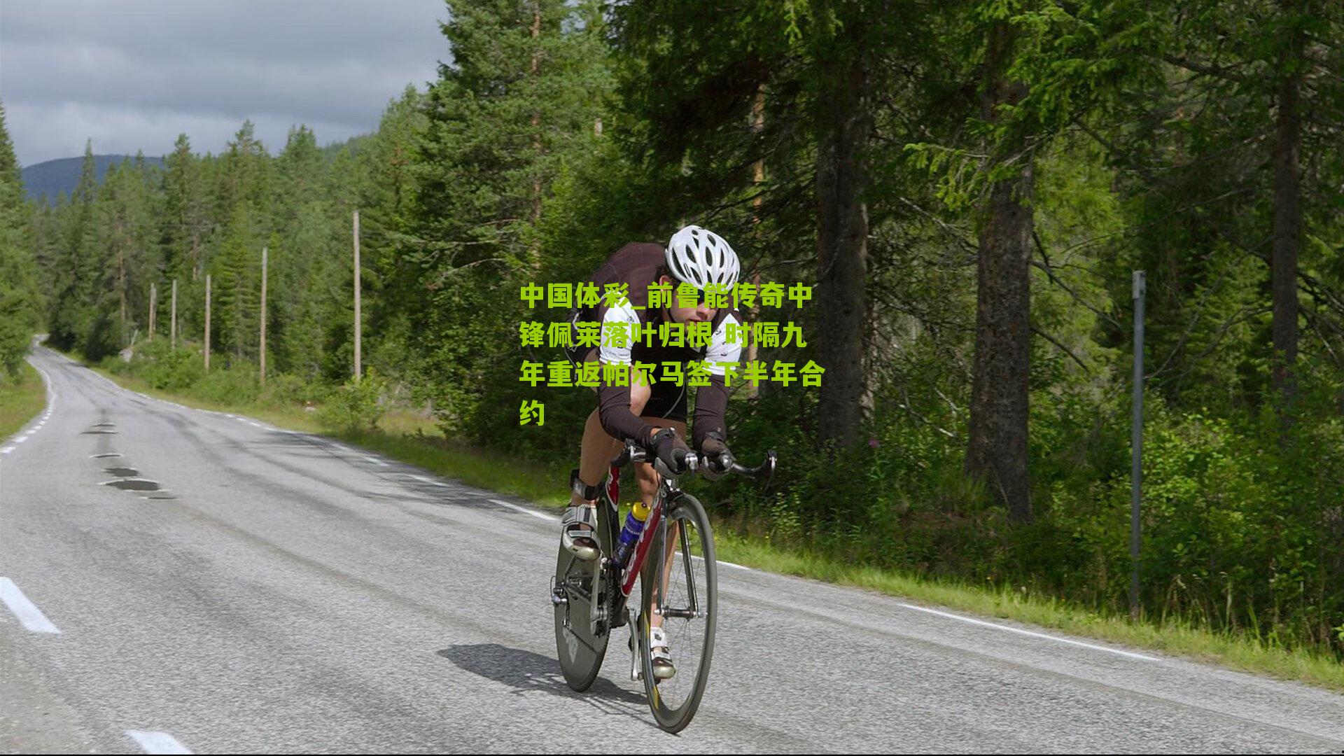 前鲁能传奇中锋佩莱落叶归根 时隔九年重返帕尔马签下半年合约