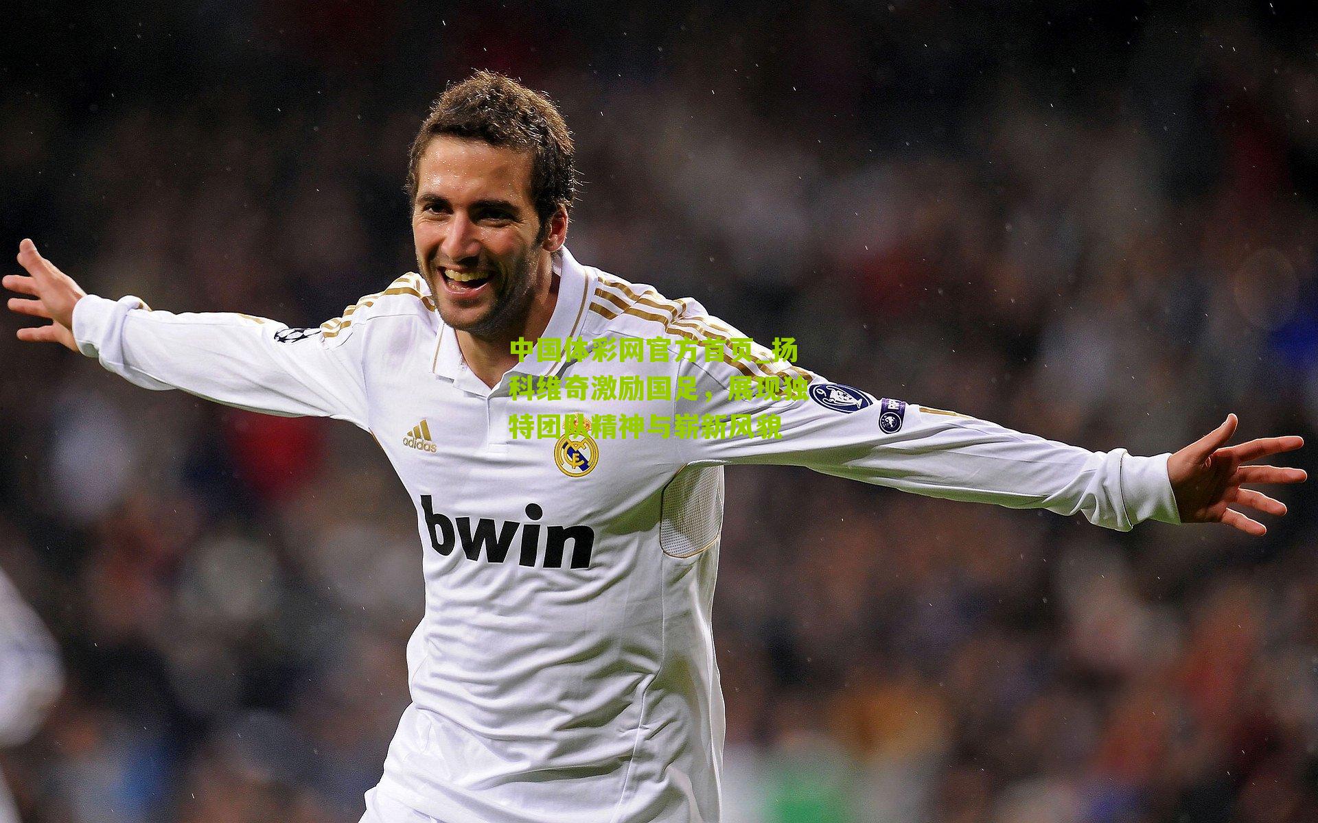 扬科维奇激励国足，展现独特团队精神与崭新风貌