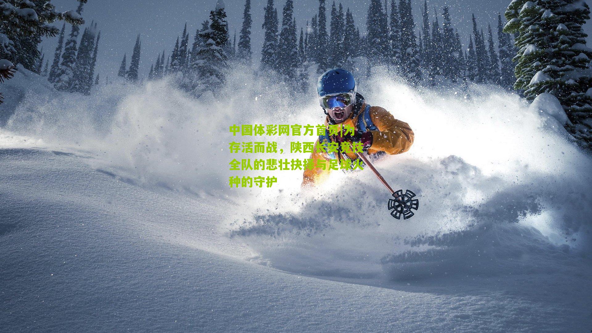 中国体彩网官方首页|为存活而战，陕西长安竞技全队的悲壮抉择与足球火种的守护