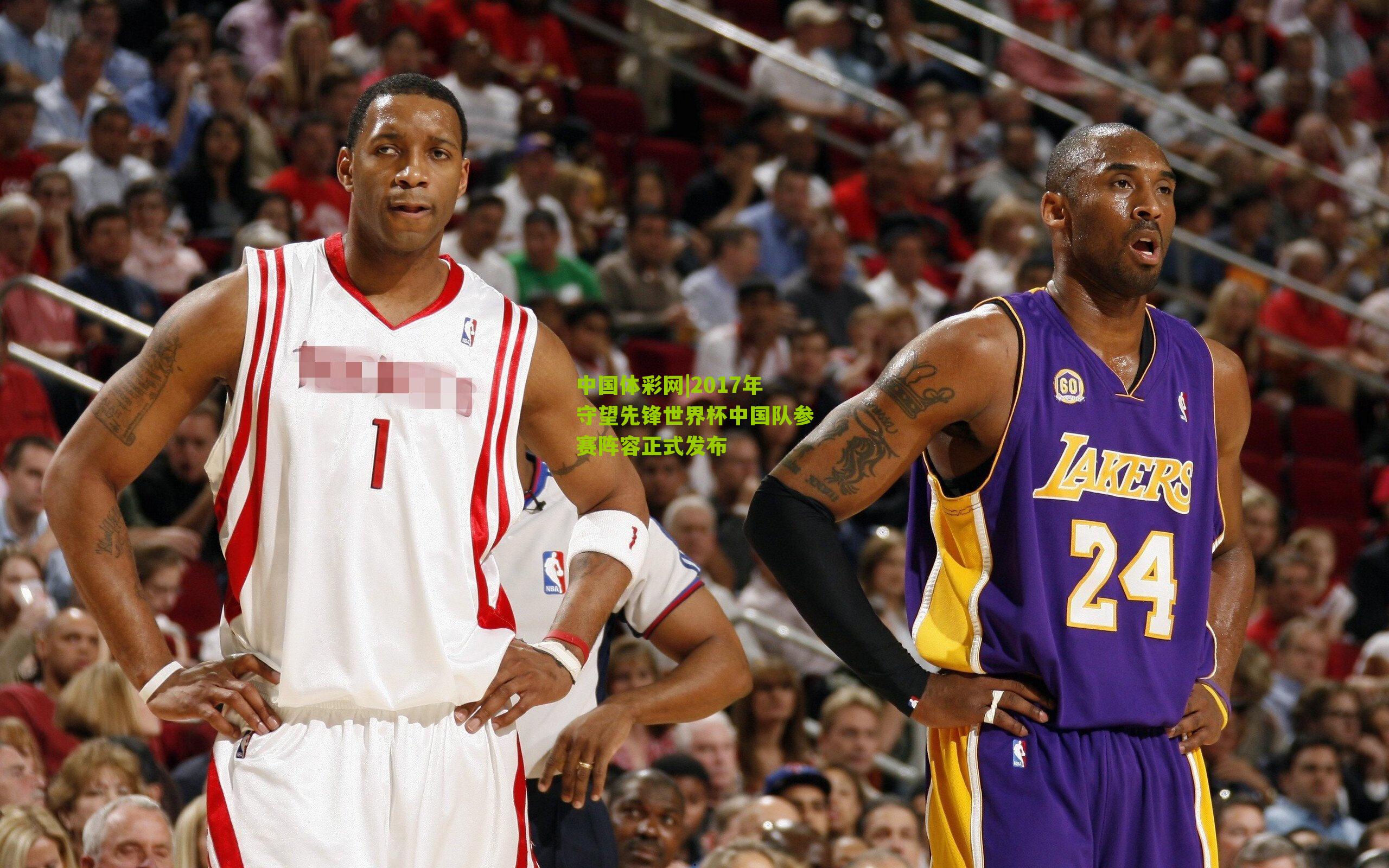 2017年守望先锋世界杯中国队参赛阵容正式发布